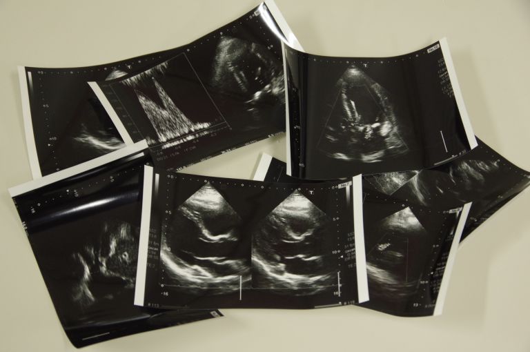 田町の内科医が教える健康維持の秘訣と生活習慣改革